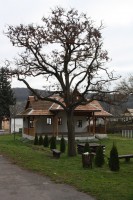 /album/fotogaleria/img-5504-jpg/