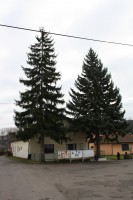 /album/fotogaleria/img-5507-jpg/